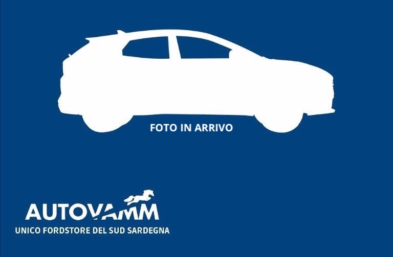 SKODA Karoq 2.0 tdi evo Executive 115cv dsg